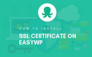 Install ssl cert on easywp